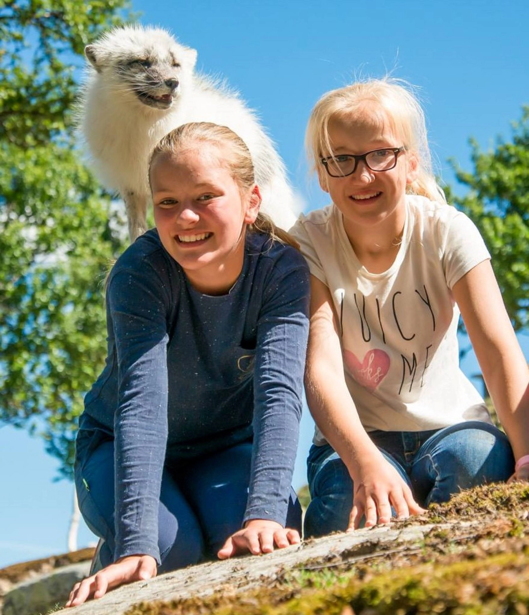 Fjellrev og to piger Langedrag Naturpark.jpg