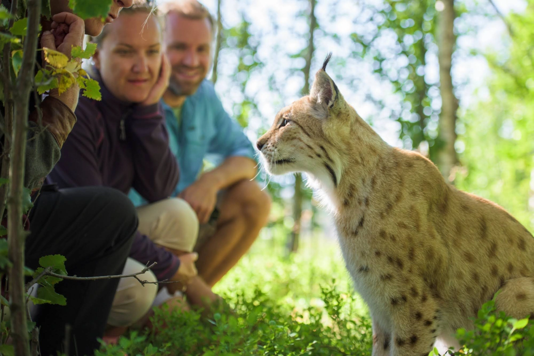 Langedrag Naturpark los.jpg