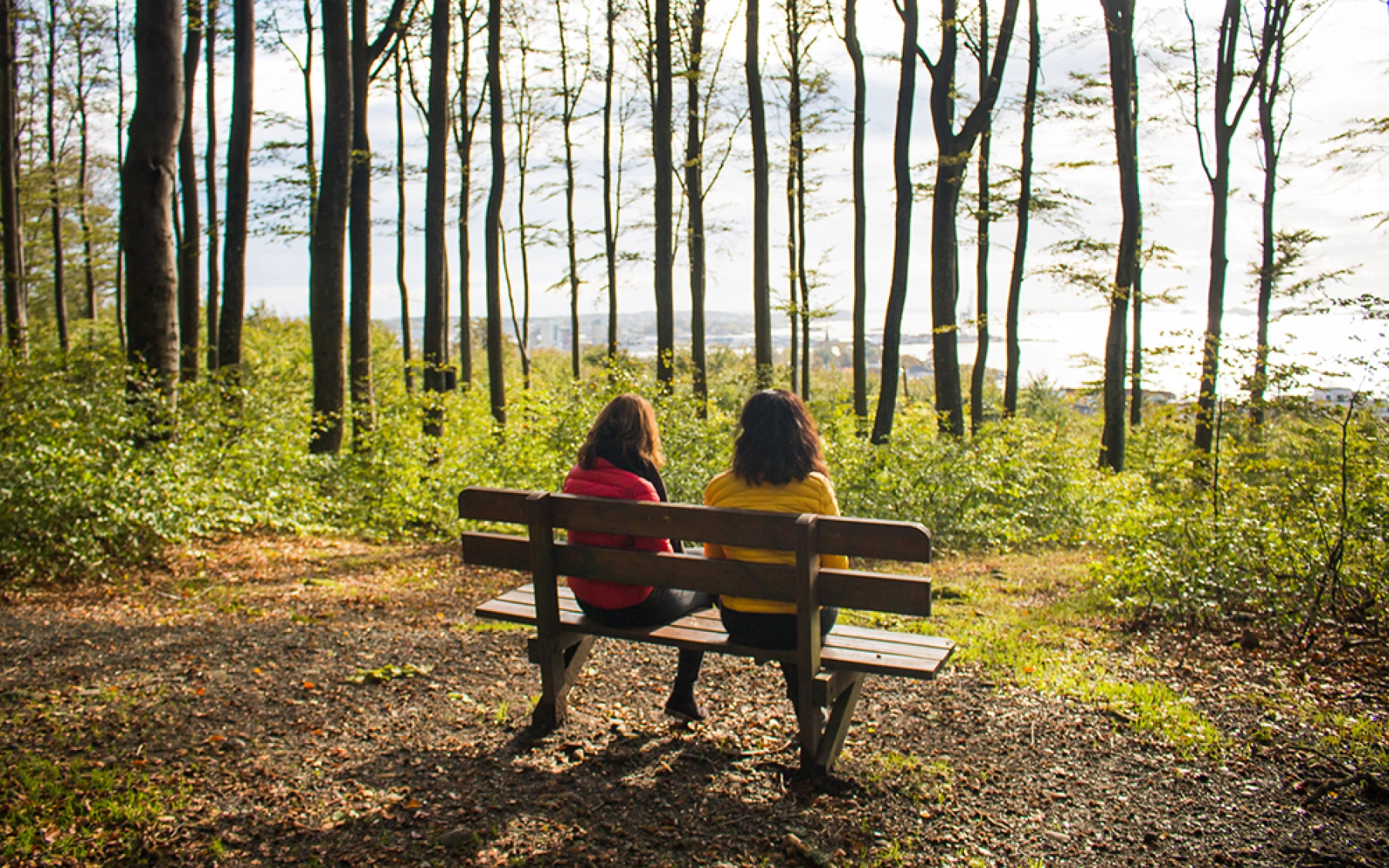 Bøkeskogen. Foto: visitvestfold.com