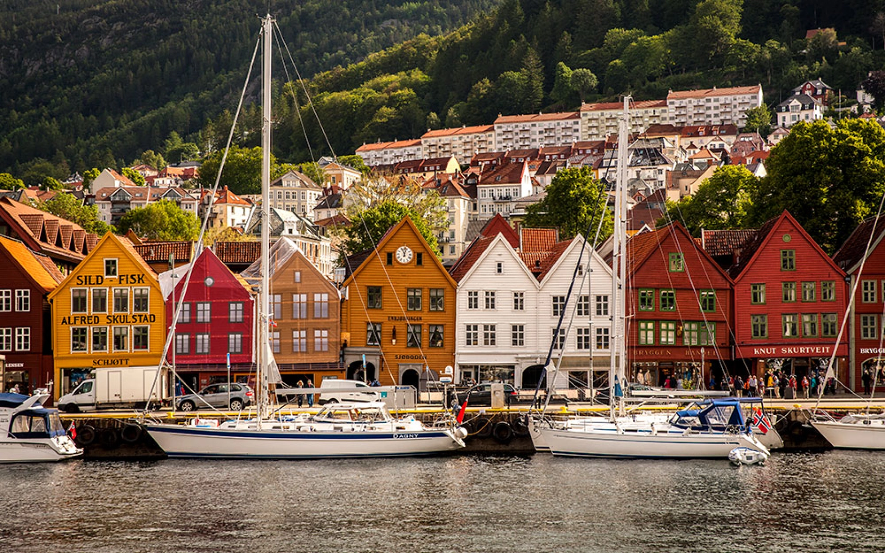 Sognefjord-Bergsteigen in Bergen.jpg