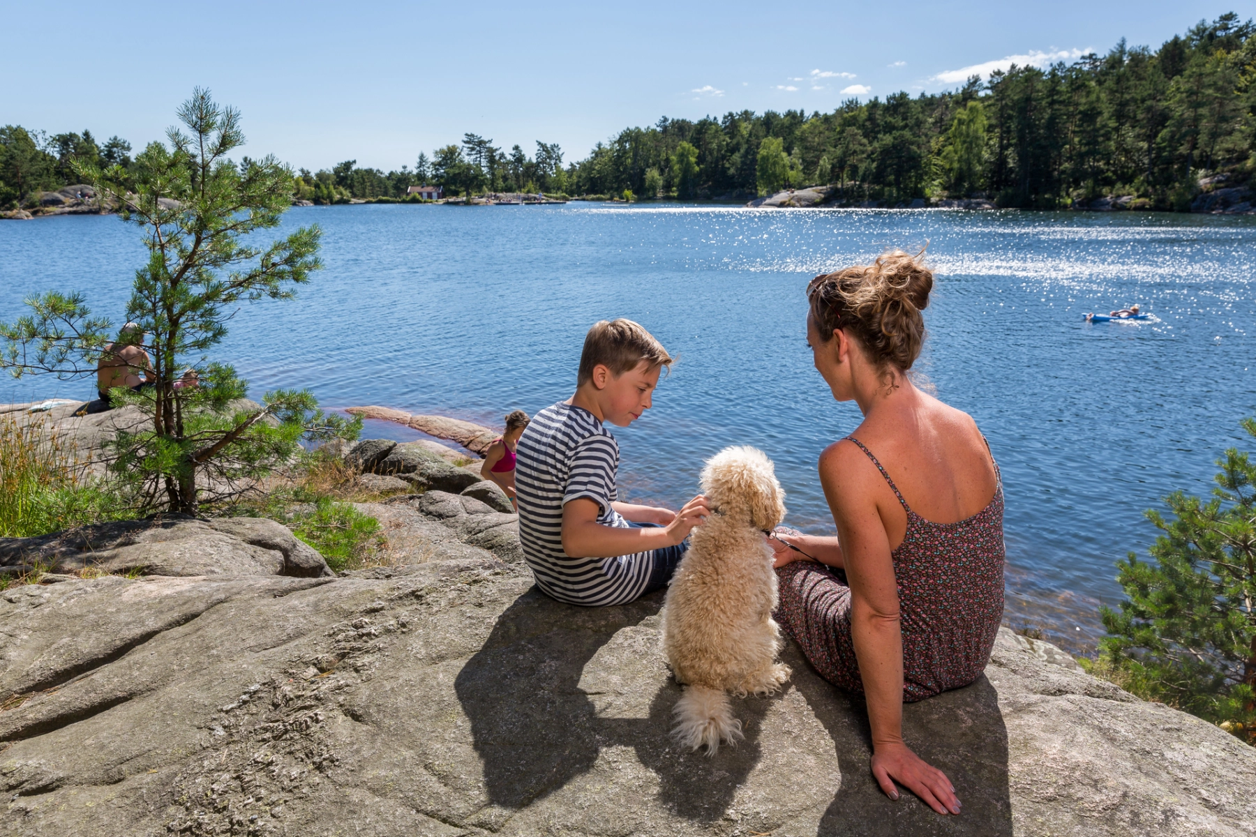Familie med hund nyder udsigten over Baneheia kristiansand foto landskapsfotografene.no, Visitsørlandet