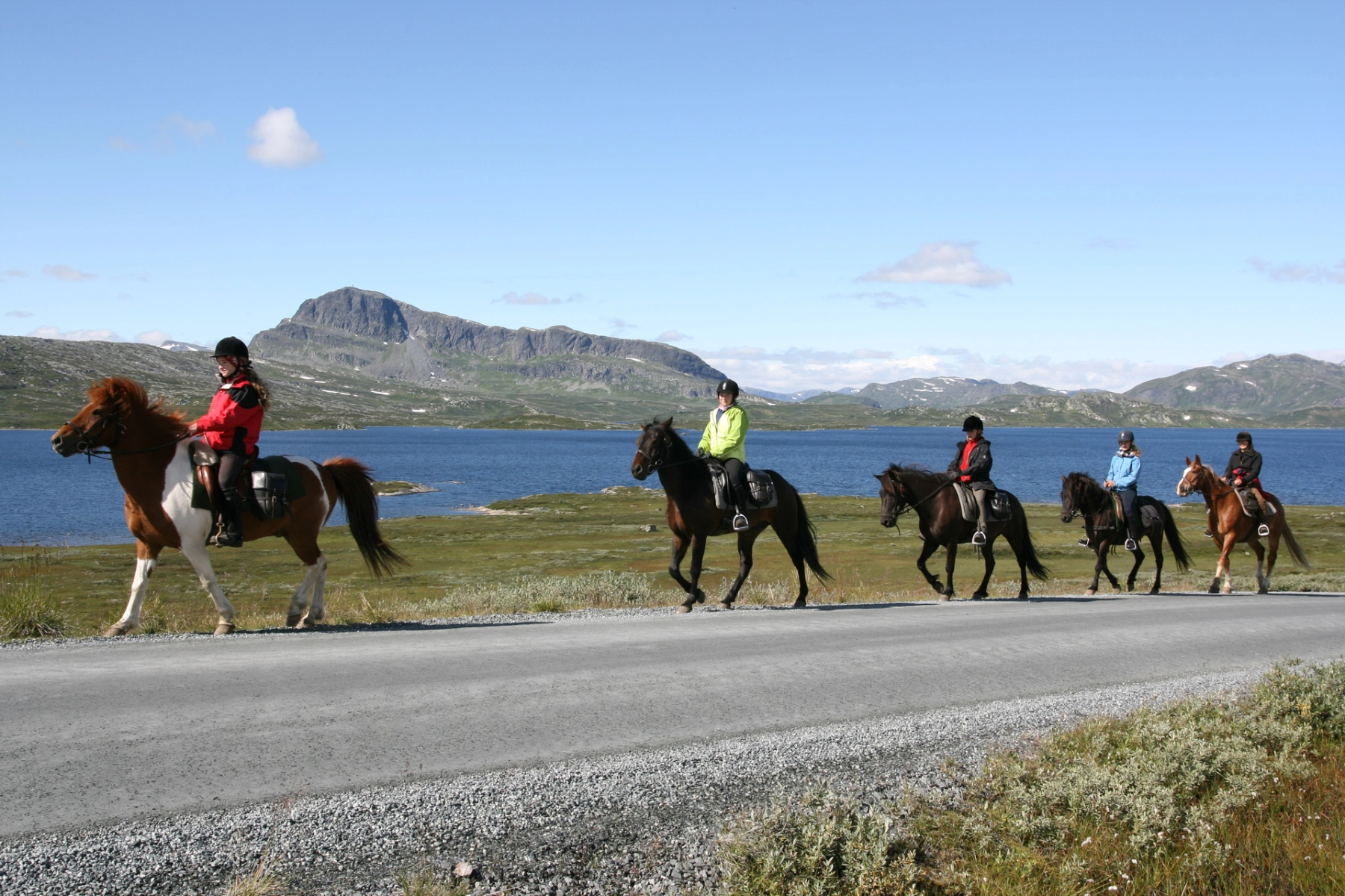 Horseback_excursions.jpg