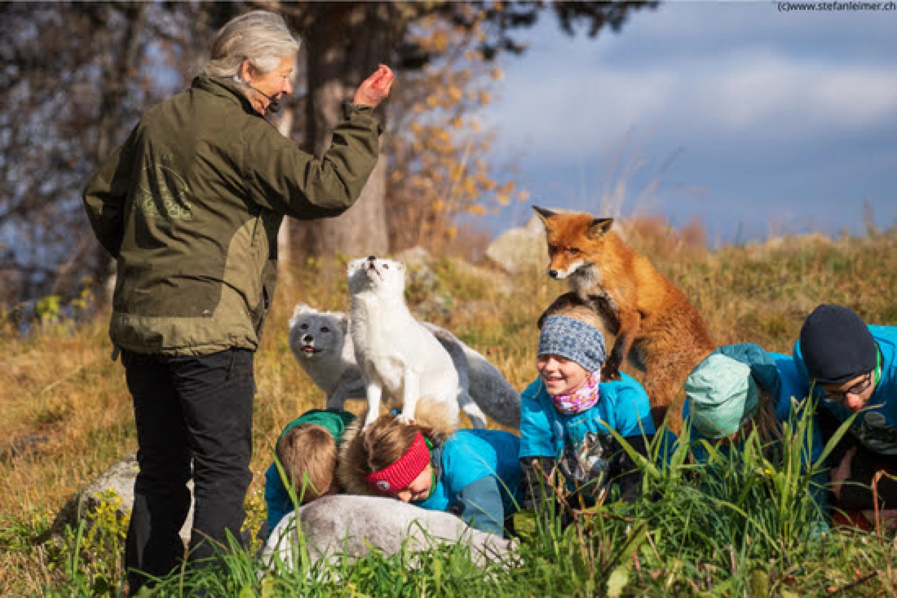 Langedrag Naturpark, børn fjeldræv c stefan leimer.ch.png