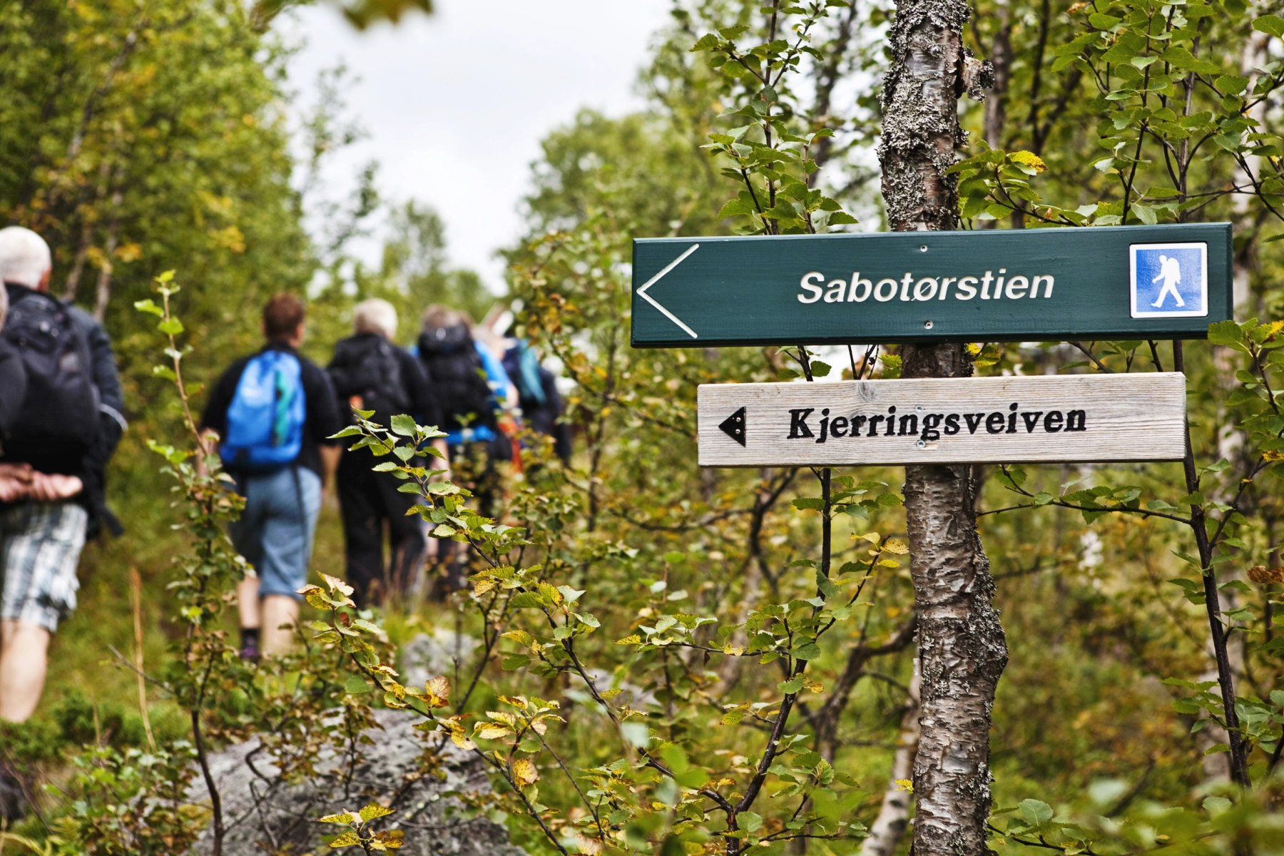 Vandring längs den historiska Sabotørstien. Foto: Elisabeth Haig Jacobsen.