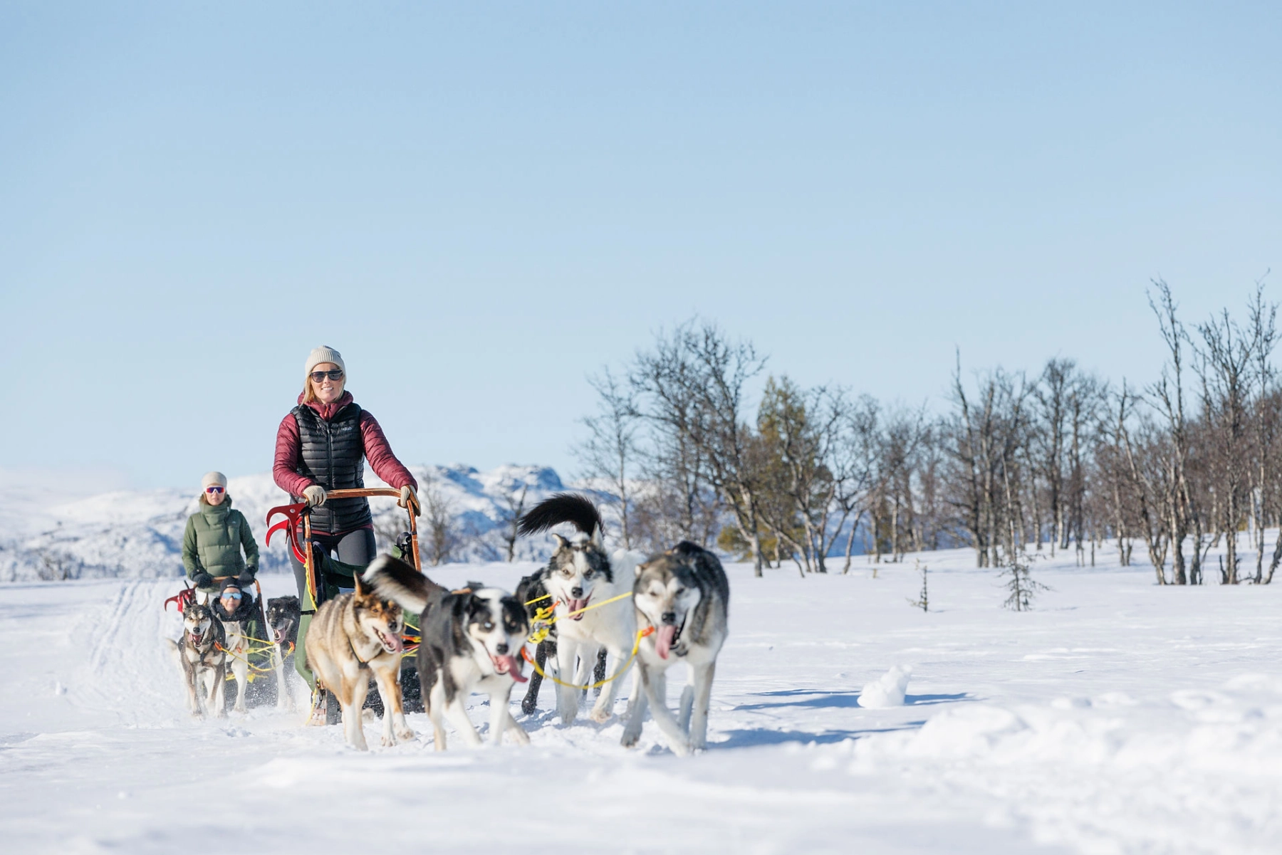 Hundeslæde vinter Langedrag Nature Park_Langedrag Naturpark.jpg