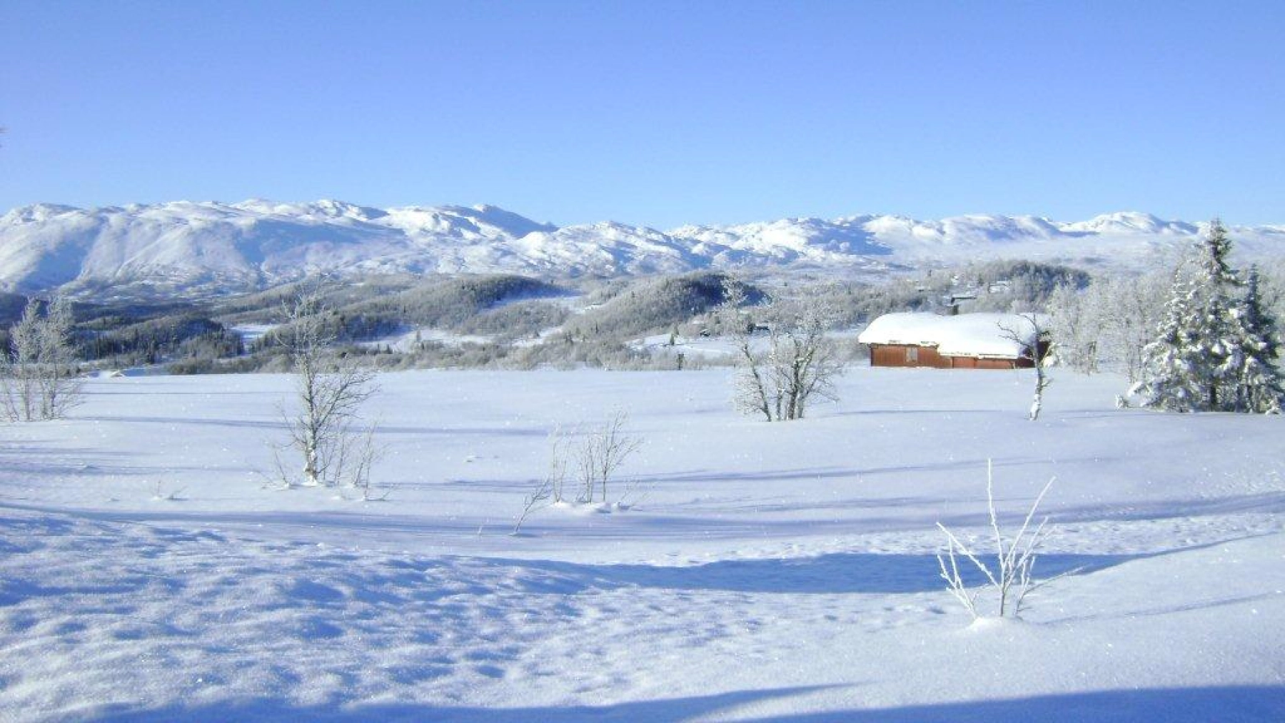 Farhovd Hyttegrend.jpg