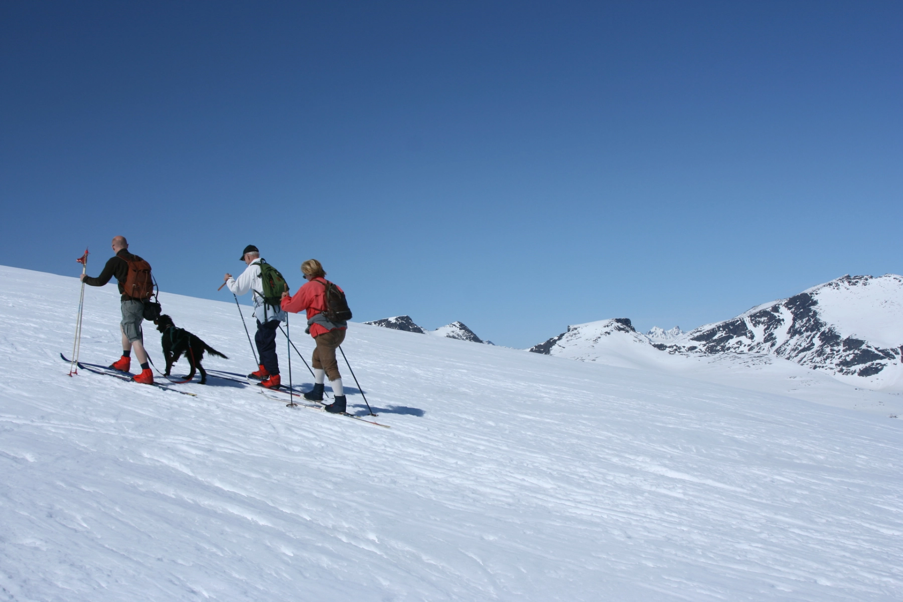 Spring_skiing.jpg