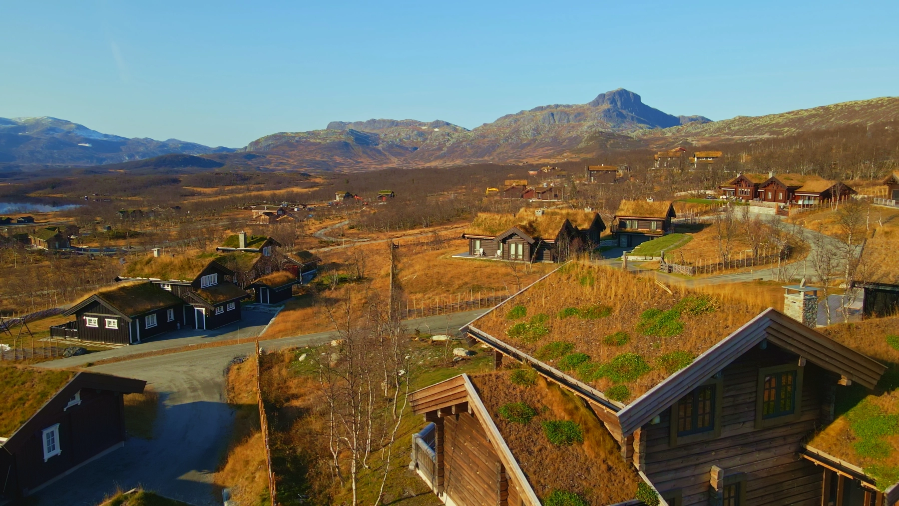 HenrikNorway-1290054079.jpg