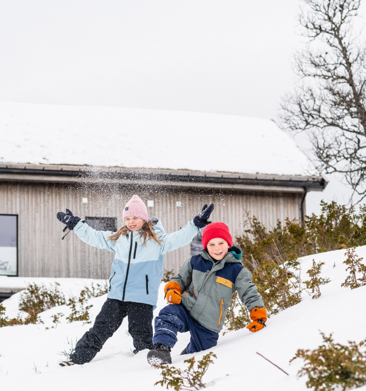 Rauland. Foto: Arild Danielsen.