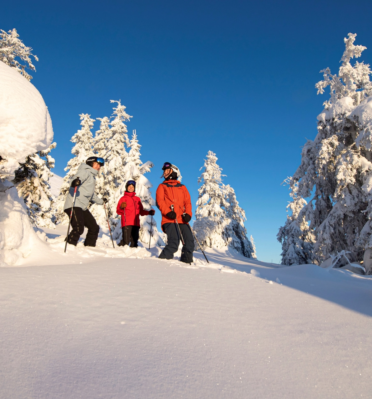 Family skiing in the mountains of Trysil_Ola Matsson – SkiStar.png