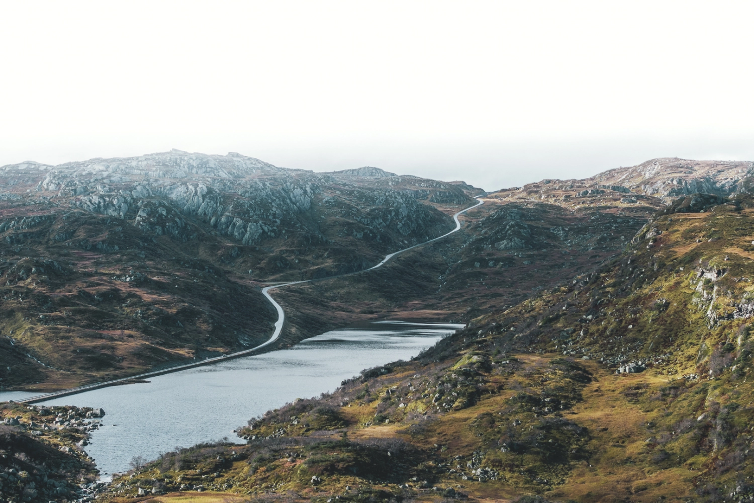 Høst full res DVphoto Mads_Tolstrup (18 of 26).jpg