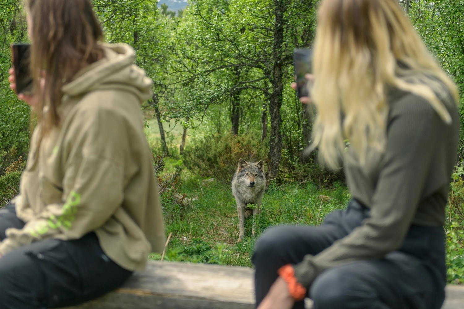 Langedrag Naturpark.jpg