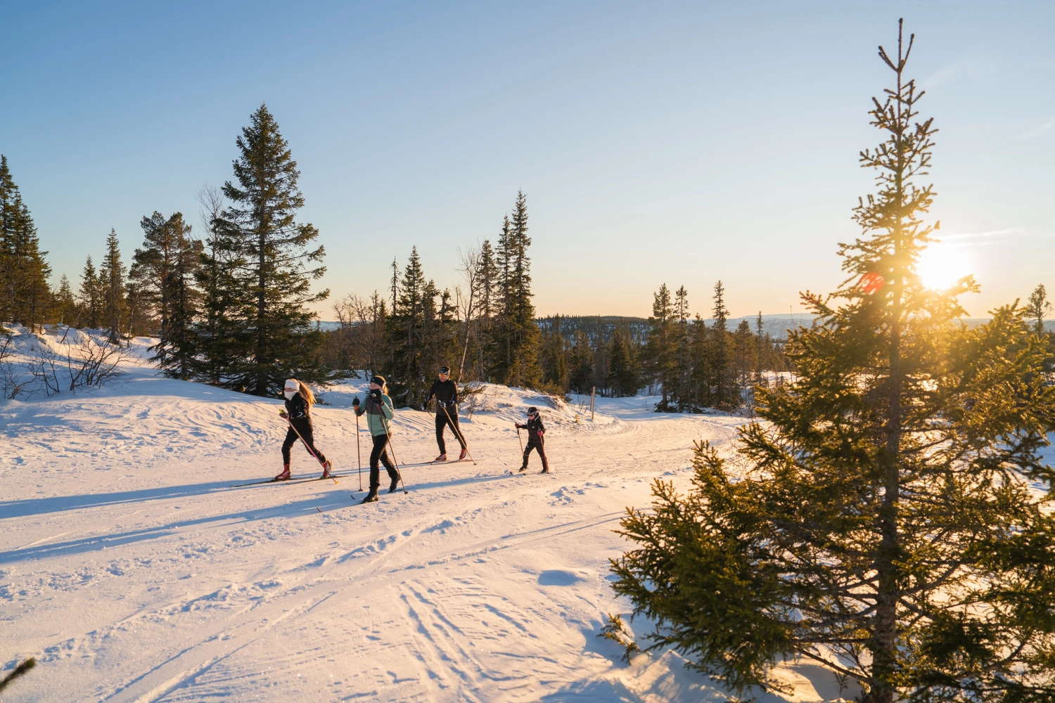 Norefjell cross-skiing.jpg