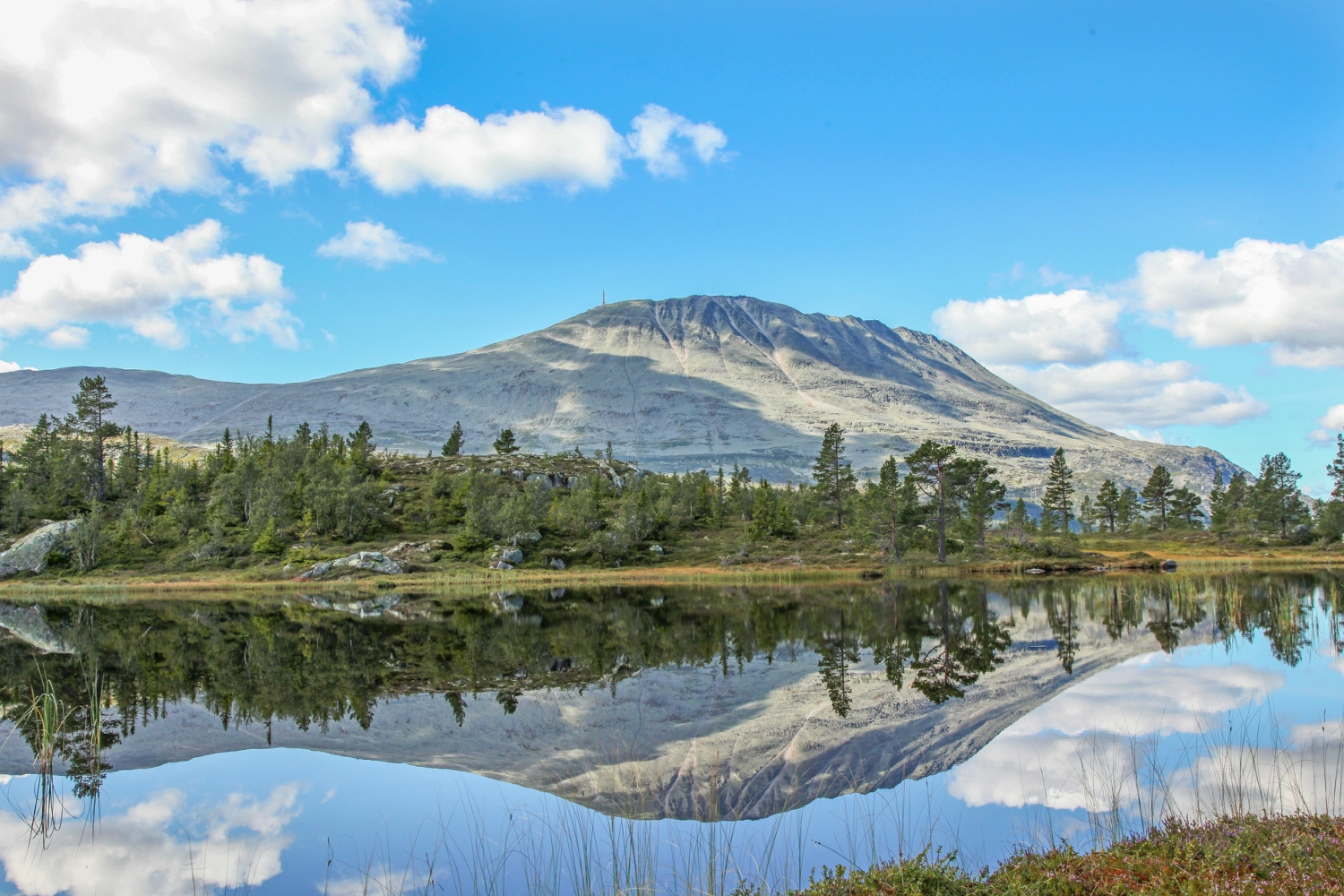 Gaustatoppen