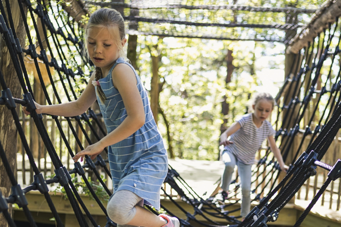 Julius Junglebanen Dyreparken Kristiansand.jpg