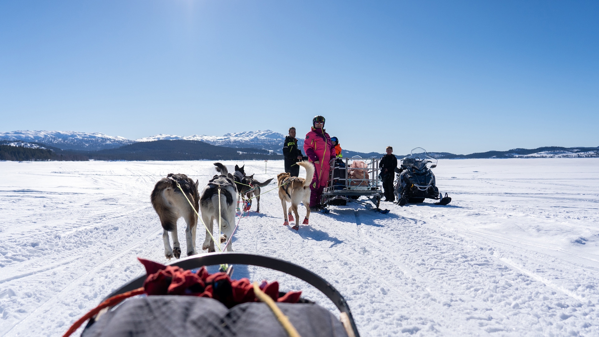 Telemark-Huskytour-00904 copy.jpg