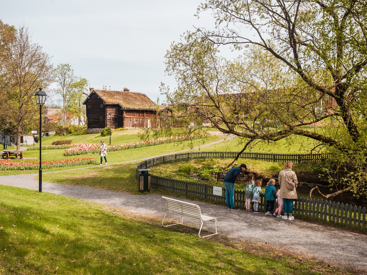 Park med mennesker og gamle bygninger, Skien.